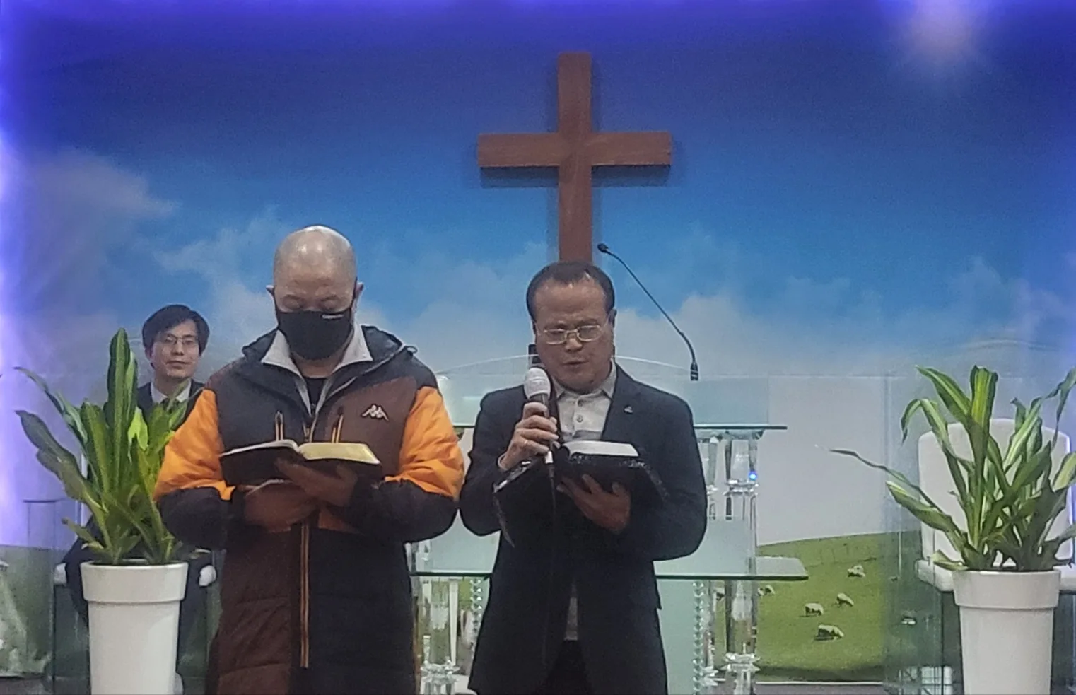 2월달 사랑구역 특송