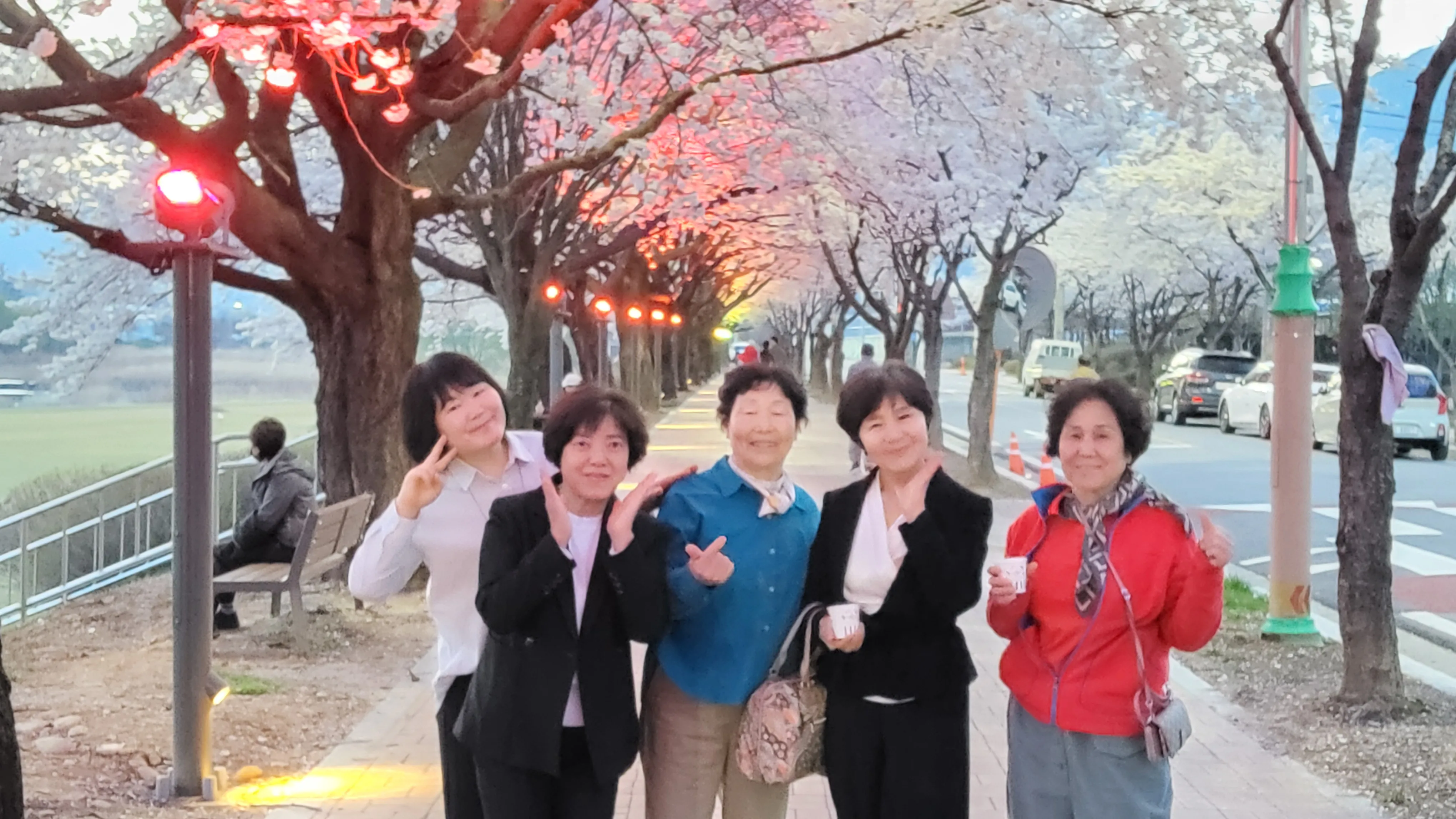 2026년 4월 5일 벚꽃 구경